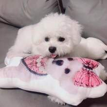 Customized Shaped Pillows, Plush Toys, Pet Toys, Fun Girlfriend Boyfriend Photo Pillows, Commemorative Gifts For Loved Ones, Personalized Pillows With Pictures, Multifunctional, Reusable, Decorative, Exquisite, Fashionable, Soft, Cute, Customizable, Unique, Are Ideal Gifts For Her