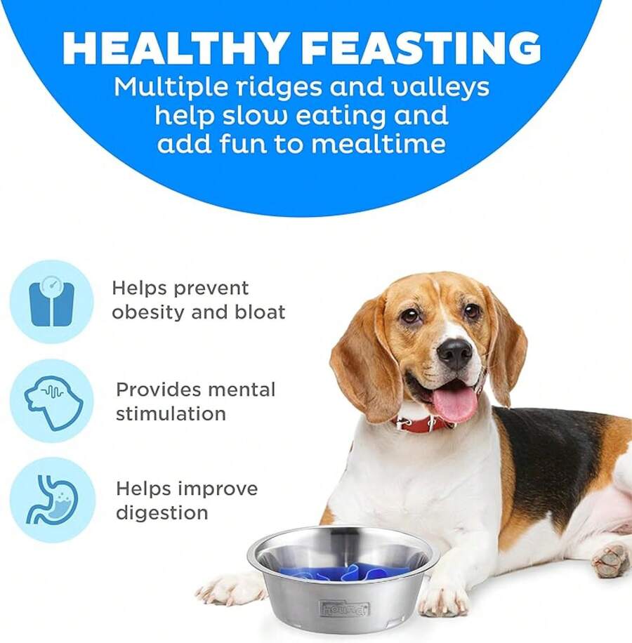 Outward Hound Fun Feeder Slo Bowl, Slow Feeder Dog Bowl, Medium/, Turquoise - Stainless Steel - 查看 1