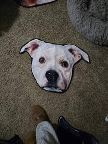 1 pezzo Tappeto personalizzato con ritratto di animale domestico, tappeto con foto personalizzata, tappeto personalizzato per animali domestici, regalo morbido e accogliente, perfetto per gli amanti degli animali domestici, regalo ideale per gli amanti degli animali domestici, ideale per regali per animali domestici, regali commemorativi, ideale per camera da letto, soggiorno, lavabile, leggero, divertente, comodo personalizzato, ideale per Natale, San Valentino, Festa della Mamma, Festa del Papà, anniversari degli animali domestici - Multicolore - Visualizzare 6