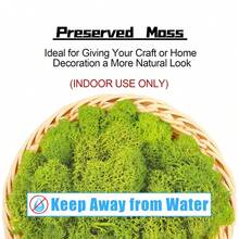 Moss Preserved, 0.7 OZ/20g Fake Green Reindeer Moss For Potted Plants For Craft Arts Floral Wall Decor Wedding Centerpieces Fairy Garden Artificial Terrariums Decoration For Christmas - Multicolor - View 2