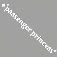 Car Reflector Sticker, Beautiful "Passenger Princess" Text Sticker, Car Interior Decor Sticker, Home Decor Sticker, For Car, Home Decor, Party Decorator