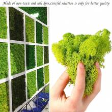 Moss Preserved, 0.7 OZ/20g Fake Green Reindeer Moss For Potted Plants For Craft Arts Floral Wall Decor Wedding Centerpieces Fairy Garden Artificial Terrariums Decoration For Christmas - Multicolor - View 1