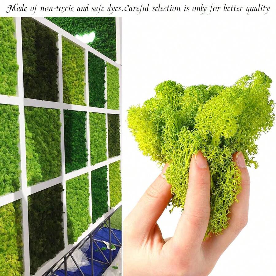 Moss Preserved, 0.7 OZ/20g Fake Green Reindeer Moss For Potted Plants For Craft Arts Floral Wall Decor Wedding Centerpieces Fairy Garden Artificial Terrariums Decoration For Christmas - Multicolor - View 1