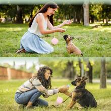 1pc LIGE Silicone Dog Training Pouch, One-Piece Wristband, Miniature Portable Pocket Size, Easy To Clean, Pet Travel Walking Bag, Silicone Pet Treat Bag, Portable Dog Training Pouch Dog Treat Bag Dog Treat Pouch Dog Walking Bag Pouch