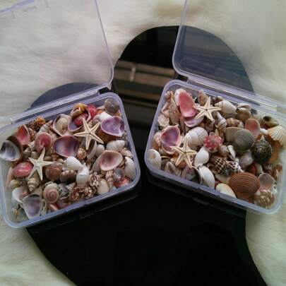 1Pc Mixed Ocean/Beach Mini Seashells Assorted, Handmade Jewelry Making Supplies, Beach Themed Party Decor, Craft Tiny Shells, Wedding Decoration, Vase & Aquarium Filler (Approx. 40g Per Box)