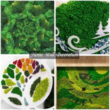 Moss Preserved, 0.7 OZ/20g Fake Green Reindeer Moss For Potted Plants For Craft Arts Floral Wall Decor Wedding Centerpieces Fairy Garden Artificial Terrariums Decoration For Christmas - Multicolor - View 6
