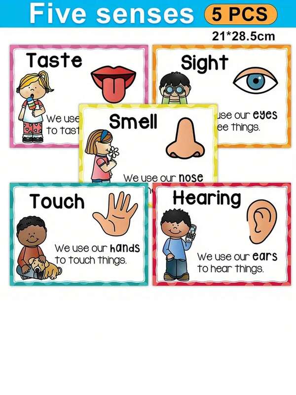 5 قطع مجموعة بطاقات الإحساس والملصقات | ديكور الفصل الدراسي ومستلزمات المدرسة المنزلية | ملصقات تعليمية للأطفال | تنظيم المعلم + طقم أنشطة إحساسية، رائع لديكور الغرفة
