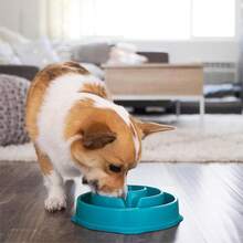 Outward Hound Fun Feeder Slo Bowl, Slow Feeder Dog Bowl, Medium/, Turquoise - Turquoise - View 6