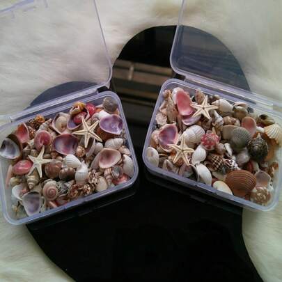 1 件混合海洋/海滩迷你贝壳，手工珠宝制作用品，海滩主题派对装饰，工艺小贝壳，婚礼装饰，花瓶和水族箱填充物（每盒约 40 克）