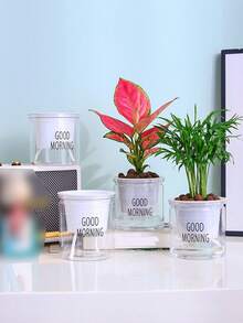 1pc Automatic Watering Transparent Plant Pot, Round Plastic Desktop Planter For Office, Hydroponic Plants - Multicolor - View 4