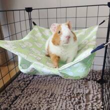 Set de 1/2 piezas Cama colgante refrescante de seda de hielo para hurones, hámsteres, gliders, ardillas, cobayas, chinchillas - Cama colgante de doble capa, nido transpirable para mascotas, cama colgante portátil y ligera para pequeños animales, roedores y mascotas exóticas