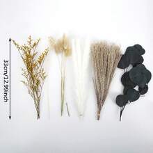 26 PCS Natural Dried Pampas Grass Reed Flowers Eucalyptus Qing Rencao Bouquet - Multicolor - View 9