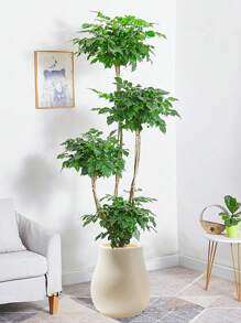 1 pieza Maceta de cerámica extra grande, Maceta de plástico con bola de piedra artificial, Maceta de pie para planta artificial, Maceta redonda de plástico de doble capa de gran diámetro, Maceta para suculentas con bandeja, Maceta para árbol, Bola redonda grande para decoración del hogar, Maceta para planta artificial verde para hotel