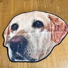 1 pezzo Tappeto personalizzato con ritratto di animale domestico, tappeto con foto personalizzata, tappeto personalizzato per animali domestici, regalo morbido e accogliente, perfetto per gli amanti degli animali domestici, regalo ideale per gli amanti degli animali domestici, ideale per regali per animali domestici, regali commemorativi, ideale per camera da letto, soggiorno, lavabile, leggero, divertente, comodo personalizzato, ideale per Natale, San Valentino, Festa della Mamma, Festa del Papà, anniversari degli animali domestici - Multicolore - Visualizzare 3