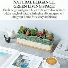 Large rectangular planter for succulents with removable bamboo tray - Multicolor - Ver 2