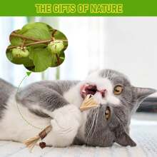 1 pieza Juguete de gato de madera de silvervine, juguetes de palitos de silvervine para gatos de interior, juguetes de masticado para gatos y gatitos agresivos, juguete dental para limpieza de dientes de gatitos, silvervine matatabi para gatos