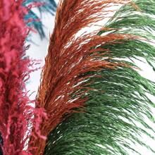 Natural Colored Reeds, Multicolor Options, Suitable For Wedding Decor, Home Decor, Wreath Making - 100% Natural & Materials,Fall Decor,Autumn