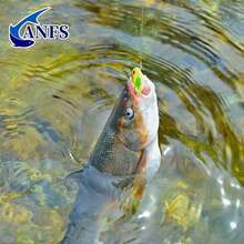 5pcs Soft Frog Lure Kit-Weedless Artificial Bait With Spoon, High Hit Rate For Freshwater Fishing, Fishing Bait Assorted Color