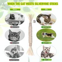 1 pieza Juguete de gato de madera de silvervine, juguetes de palitos de silvervine para gatos de interior, juguetes de masticado para gatos y gatitos agresivos, juguete dental para limpieza de dientes de gatitos, silvervine matatabi para gatos