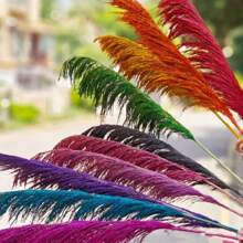 Natural Colored Reeds, Multicolor Options, Suitable For Wedding Decor, Home Decor, Wreath Making - 100% Natural & Materials,Fall Decor,Autumn