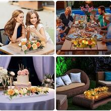 1 件透明亚克力花瓶，16 孔亚克力花瓶，可盛放鲜花，家居装饰，桌面派对装饰，万圣节和圣诞节装饰 - 無色 - 查看 9