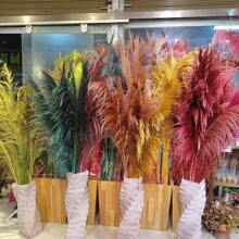 Natural Colored Reeds, Multicolor Options, Suitable For Wedding Decor, Home Decor, Wreath Making - 100% Natural & Materials,Fall Decor,Autumn