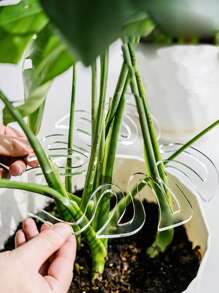 Anti-Lodging Support, Bamboo Mat Anti-Lodging Support Fixer For Potted Plants, Green Plant Fixed Clip For Hydroponics, Flower Stem Gathering Rack For Gardening