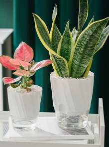Self Watering Planter Set With Automatic Water Absorption For Potted Plants, Transparent Hydroponic Container, Slouchy Person Planter