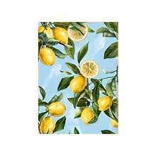 1pc/3PCS Wall Arts Posters Botanical Decorative Art Classic Modern Fruit Canvas Wall Art Set, Frameless Vertical Posters, Suitable For Home Offices, Bedrooms, Bathrooms, Kitchens, Classrooms - Indoor Landscape Themed Art Prints, Office Art Fruit Pattern Decorative Art Decoration, Wall Art Decoration Frameless/ With A Frame Coastal Decor Coastal Decor Beach Decor ,Wall Art With Frame