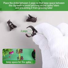 Orchid Clips For Plants Support, Plant Clips For Climbing Plants, Plant Climbing Vine Wall Clips, Plant Clips For Support, Plant Climbing Support For Orchids Vine Clip Support