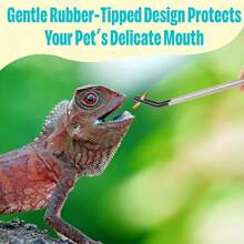 Set di attrezzi in acciaio inossidabile per l'alimentazione di rettili, con testa in gomma - Pinzette per rettili striscianti, adatte per lucertole, lucertole dalla criniera, geco, rane, criceti, tartarughe, pesci, conigli, distributori d'acqua per conigli, mangiatoie, cucchiai per l'alimentazione delicata della bocca, accessori per animali striscianti