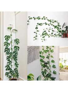 10/20pcs Plant Climbing Wall Fixation Clips, Self-Adhesive Plant Clips, Invisible Wall Vine Plant Support Clips For Indoor/Outdoor Plants - Asymmetrical Plastic Structure