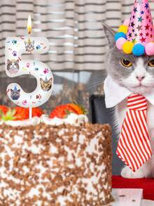 可爱猫咪数字0-9动物主题生日周年纪念1岁生日派对蛋糕装饰蜡烛 - 彩色 - 查看 2