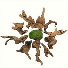 3pcs Small Sinking - Micro Landscape Decoration Aquatic Plant Aquarium Decoration - Redwood - View 5