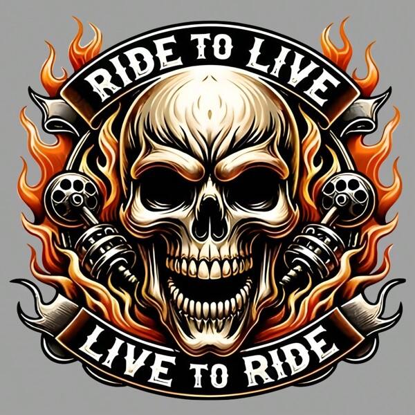 1pc/2pcs/3pcs/Skull Clothing Patch Patch Cloth DIY A-Level Washable Adhesive Cloth Heat Transfer Printing Cloth Women's/Men's T-Shirt Backpack Pillow Decoration Badge Label Baseball Hat Backpack, Etc. Available