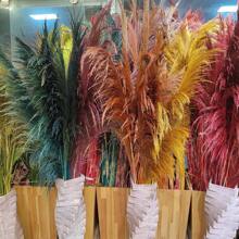 Natural Colored Reeds, Multicolor Options, Suitable For Wedding Decor, Home Decor, Wreath Making - 100% Natural & Materials,Fall Decor,Autumn