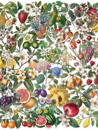 50pcs Transparent Vegetable Fruit Stickers Aesthetic Stickers Fruit Party Favors Craft Supplies PET Vinyl Sticker