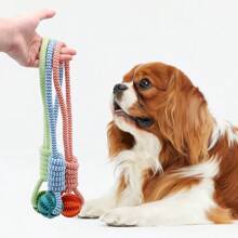 1 pieza Pelota de juguete para perros Balón de goma interactivo Juguete para masticar para perros pequeños Limpieza dental Pelota dispensadora de alimento para mascotas Juguete de bola de silicona