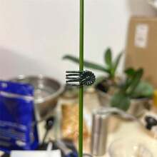 Orchid Clips For Plants Support, Plant Clips For Climbing Plants, Plant Climbing Vine Wall Clips, Plant Clips For Support, Plant Climbing Support For Orchids Vine Clip Support