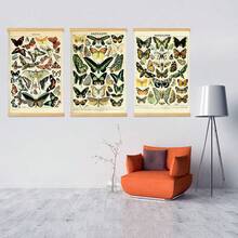 BAEMEFLE Vintage Butterfly & Insect Illustrations - Framed Canvas Art For Home And Office Decor, Perfect For Bedroom And Living Room Walls - Multicolor - View 22