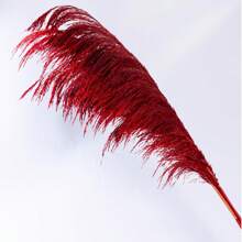 Natural Colored Reeds, Multicolor Options, Suitable For Wedding Decor, Home Decor, Wreath Making - 100% Natural & Materials,Fall Decor,Autumn