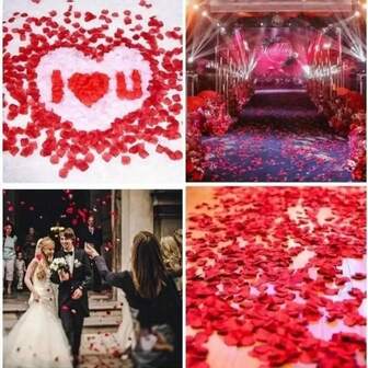 2000pcs Silk Red Rose Petals, Artificial Flower Petals, Suitable For Romantic Night, Wedding, Event, Party, Valentine's Day Decoration, Romantic Wedding Party Decor