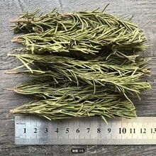 Aromatherapy Blend With Intense Scents And Natural Essences Including Rosemary, Lavender And Nutmeg - Multicolor - View 5