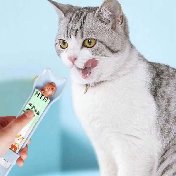1pc Cat Shaped Squeezer Spoon, Cat Feeder For Licking Wet Cat Treats, Pet Liquid Snack Feeding Tool
