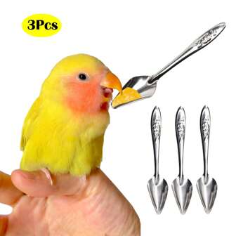 Juego de 3 cucharas de acero inoxidable para alimentar loros, para alimentar manualmente a aves bebés, leche en polvo y suplementos alimenticios, color plateado