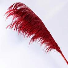 Natural Colored Reeds, Multicolor Options, Suitable For Wedding Decor, Home Decor, Wreath Making - 100% Natural & Materials,Fall Decor,Autumn