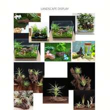 3pcs Small Sinking - Micro Landscape Decoration Aquatic Plant Aquarium Decoration - Redwood - View 6