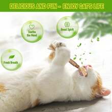 1 pieza Juguete de gato de madera de silvervine, juguetes de palitos de silvervine para gatos de interior, juguetes de masticado para gatos y gatitos agresivos, juguete dental para limpieza de dientes de gatitos, silvervine matatabi para gatos
