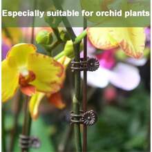 Orchid Clips For Plants Support, Plant Clips For Climbing Plants, Plant Climbing Vine Wall Clips, Plant Clips For Support, Plant Climbing Support For Orchids Vine Clip Support
