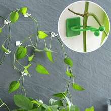 10/20pcs Plant Climbing Wall Fixation Clips, Self-Adhesive Plant Clips, Invisible Wall Vine Plant Support Clips For Indoor/Outdoor Plants - Asymmetrical Plastic Structure